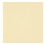 Abena salvrätt Gastro Line 24x24 cm shampanja 2-kihiline 100 tk