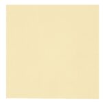 Abena salvrätt Gastro Line 33x33 cm shampanja 2-kihiline 100 tk