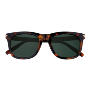 OB203-3_Z-SP-LG_EyewearSunglasses_PT01-scaled-1